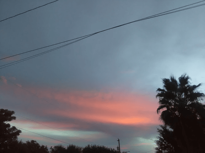 All In One Employment Solutions-FindWorkTexas Listing Directory