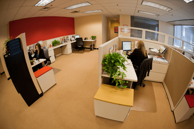 Dallas Employment Services-FindWorkTexas Listing Directory