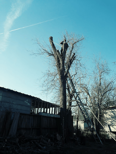 Empleos en Houston-FindWorkTexas Listing Directory