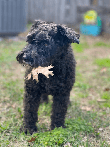 Kirtan Enterprises Inc-FindWorkTexas Listing Directory